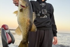 469CCB3F-8D6E-4EC1-AE78-DAE874EB1252_4_5005_c