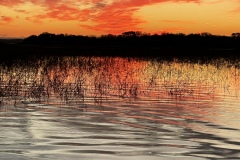 C1013687-1D25-4C22-90F4-F540550BC53C