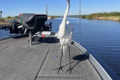 IMG_1460