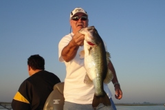 bass-269