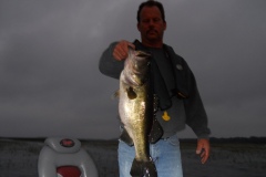 bass-364