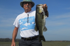 bass-369