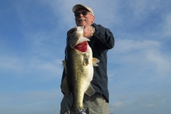 bass-370