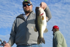 bass-373