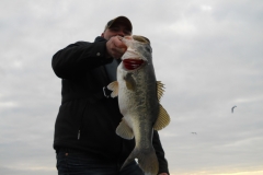 bass-374