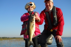 bass-375