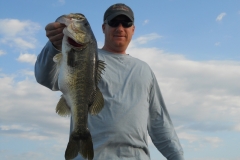 bass-379