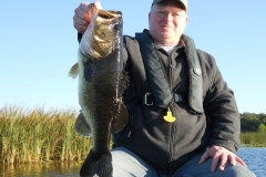 bass-380