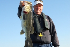 bass-382