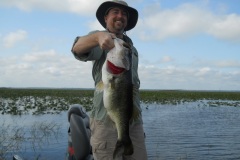 bass-387