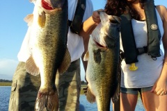 bass-389