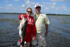 bass-391