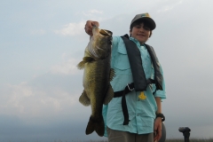 bass-392