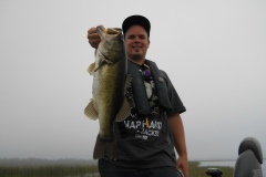bass-394