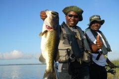bass-395-1