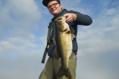 bass-401