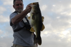 bass-402