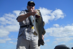 bass-411
