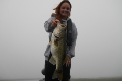 bass-414