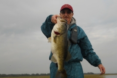 bass-417