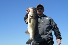 bass-423