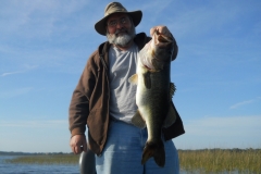 bass-429