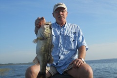 bass-431