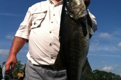 bass-435