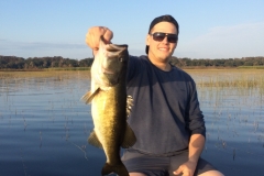 bass-460