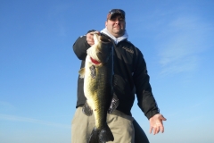 bass-461