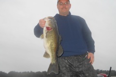 bass-464