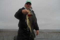 bass-465