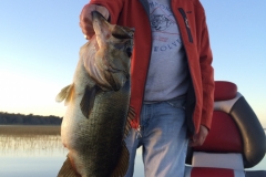 bass-466