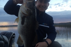 bass-467