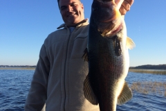 bass-468