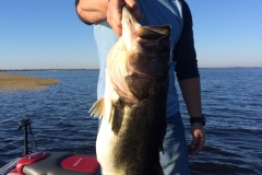 bass-469