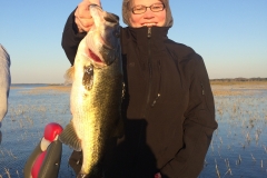 bass-470