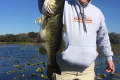bass-471