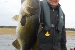 bass-472