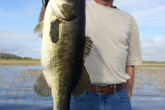bass-473-2
