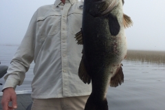 bass-474-2