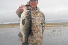 bass-476