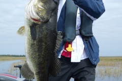 bass-477-2
