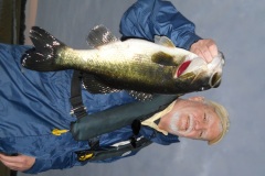 bass-478