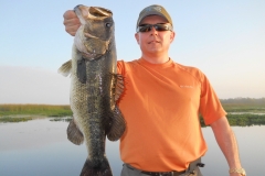 bass-481