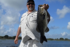 bass-482