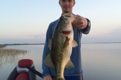 bass-483
