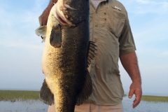 bass-485