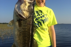 bass-496