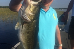bass-497